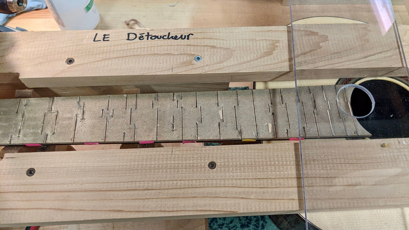 Projet Guitare en Harmonie Naturelle